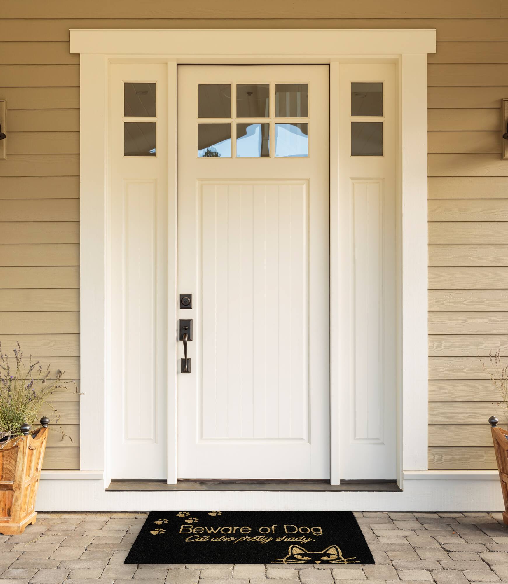DII® Beware Of The Cat & Dog Doormat